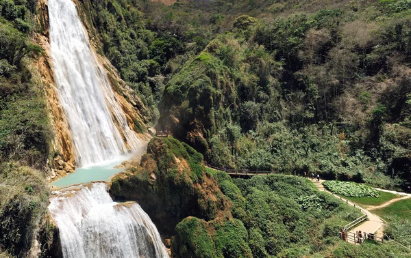 Waterfall in Mexico — Stock Photo, Image