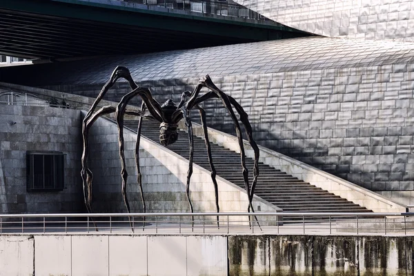 Aranha gigante chamada "mãe" — Fotografia de Stock