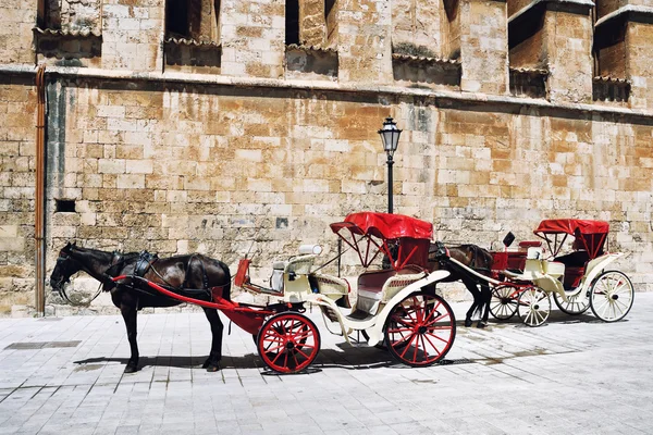 Transporte a caballo, Mallorca —  Fotos de Stock