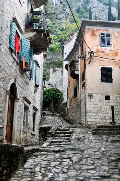 Antigua ciudad medieval Kotor, Montenegro — Foto de Stock