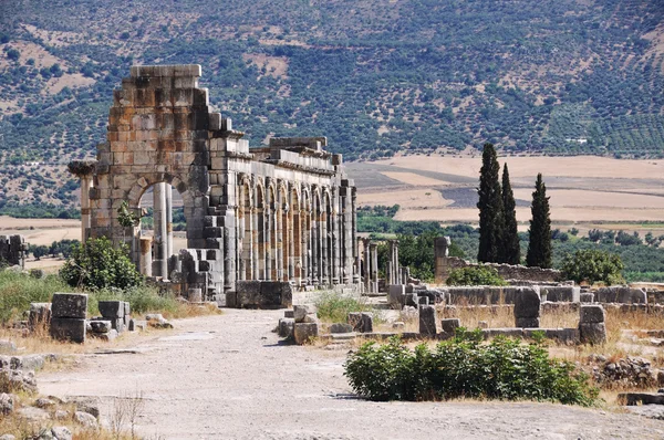 Volubilis Capitol — Stock fotografie