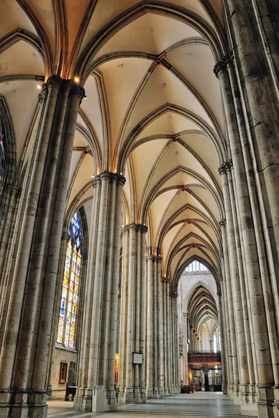 쾰른 대성당, 독일 — 스톡 사진