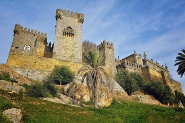Kale almodovar del rio isimli andalusia, İspanya