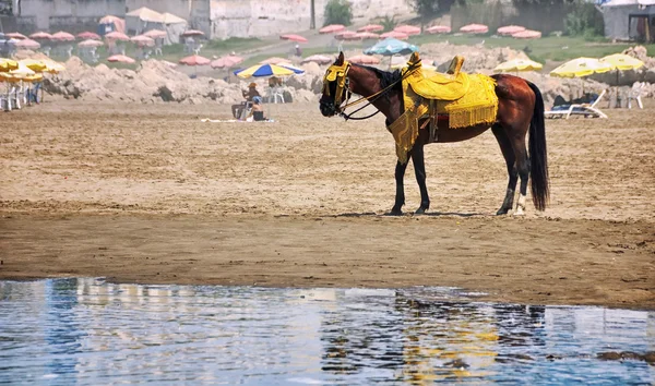 Plage de Casablanca, Maroc — Photo