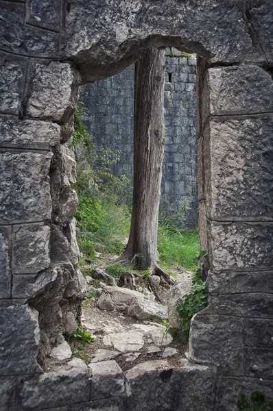 Kotor fortress walls — Stock Photo, Image