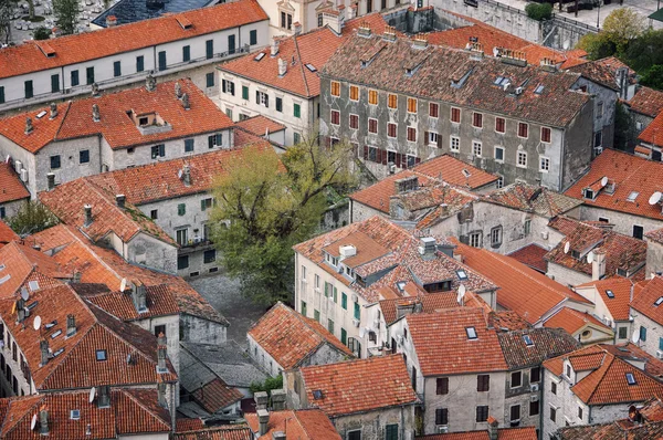 Luchtfoto van oude middeleeuwse stad kotor — Stockfoto