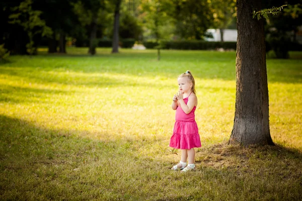 Beautiful little girl in a park — Stock Photo, Image