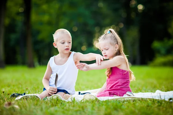 Niño y niña con mariquita en el parque —  Fotos de Stock