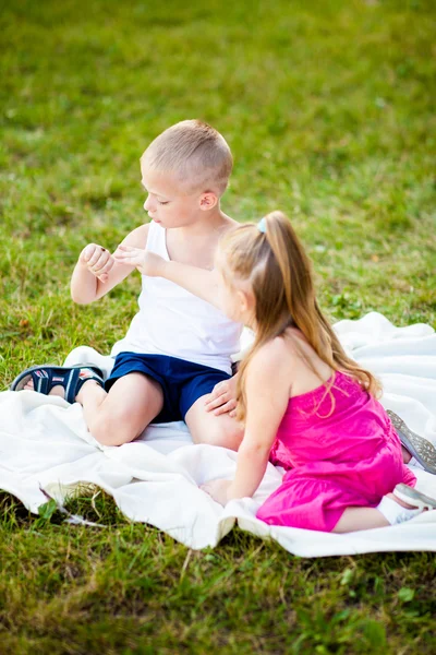 Menino e menina com joaninha no parque — Fotografia de Stock