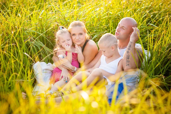 Happy family in a meadow — Stock Photo, Image