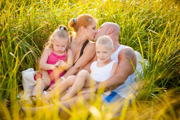 Happy family in a meadow — Stock Photo, Image