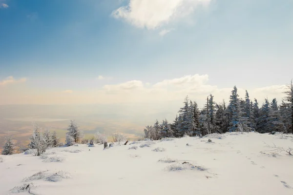 Beau paysage de montagne d'hiver — Photo