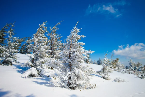 Prachtig winter berglandschap — Stockfoto