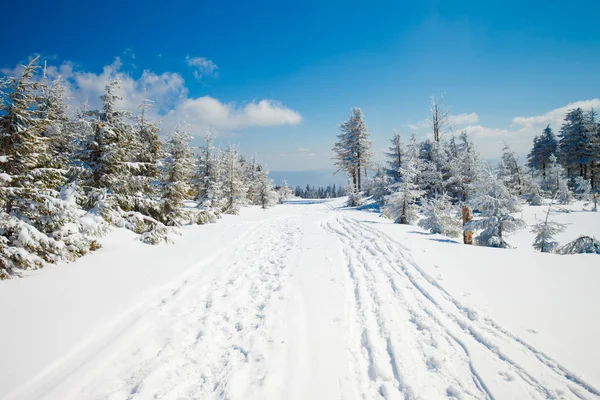 Beau paysage de montagne d'hiver — Photo