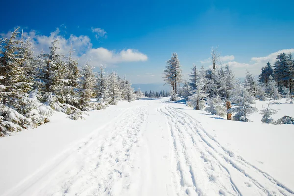 Prachtig winter berglandschap — Stockfoto