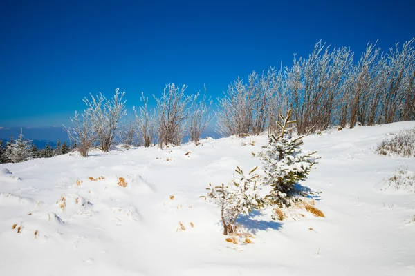 Hermoso paisaje de montaña invierno —  Fotos de Stock