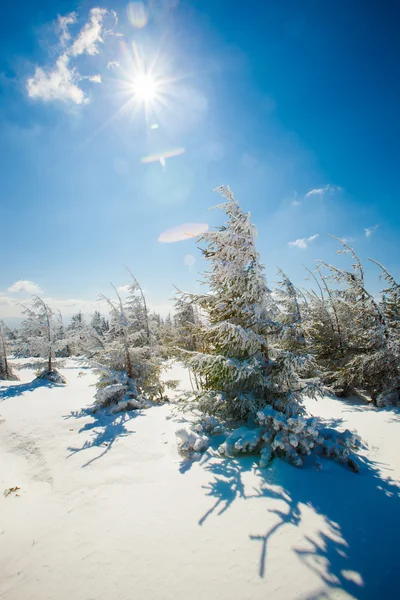 Hermoso paisaje de montaña invierno —  Fotos de Stock