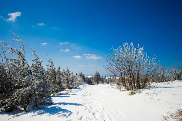 Beau paysage de montagne d'hiver — Photo