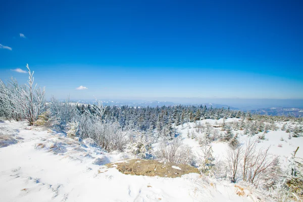 Prachtig winter berglandschap — Stockfoto