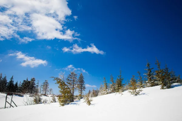 Vacker vinter bergslandskap — Stockfoto