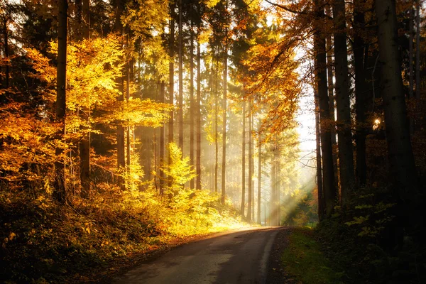 美しい秋の山の風景 — ストック写真