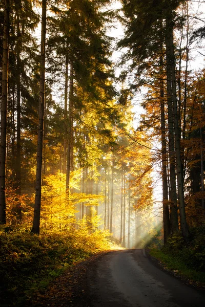 Hermoso paisaje de montaña otoño — Foto de Stock