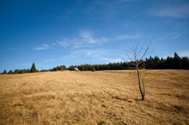 güzel sonbahar dağ manzarası