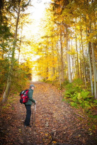 Retrato de homem adulto em florestas de outono — Fotografia de Stock