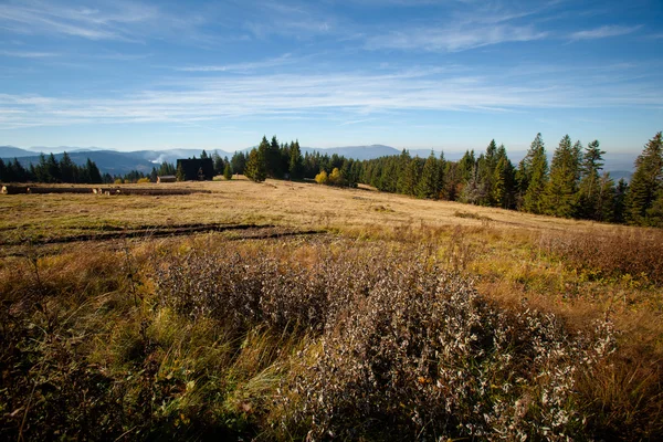 Beautiful autumn mountain landscape — Stock Photo, Image