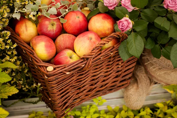 Leckere Äpfel — Stockfoto