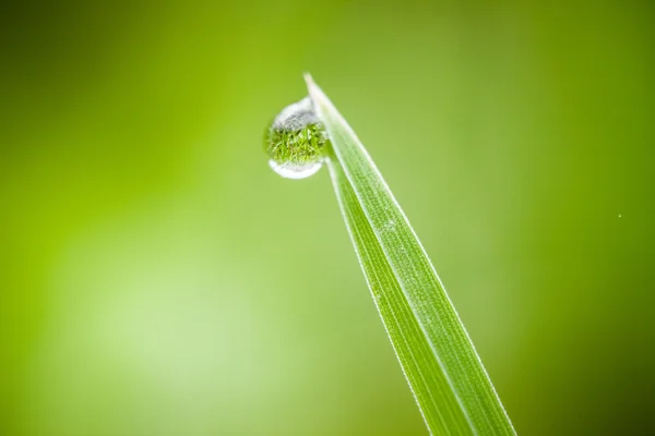 Primer plano de las gotas de agua — Foto de Stock