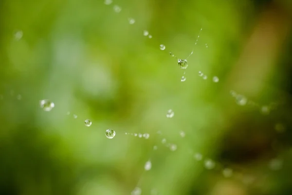 Gros plan de gouttes d'eau — Photo