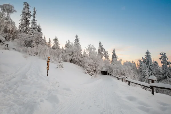 Piękny zimowy wschód Zdjęcie zrobione w górach — Zdjęcie stockowe