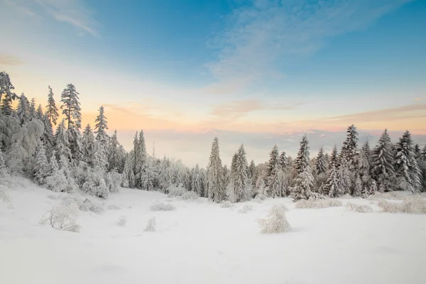 Hermosa foto del amanecer de invierno tomada en las montañas —  Fotos de Stock