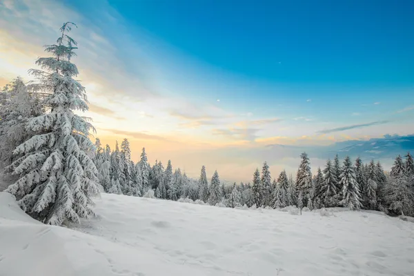 Hermosa foto del amanecer de invierno tomada en las montañas —  Fotos de Stock