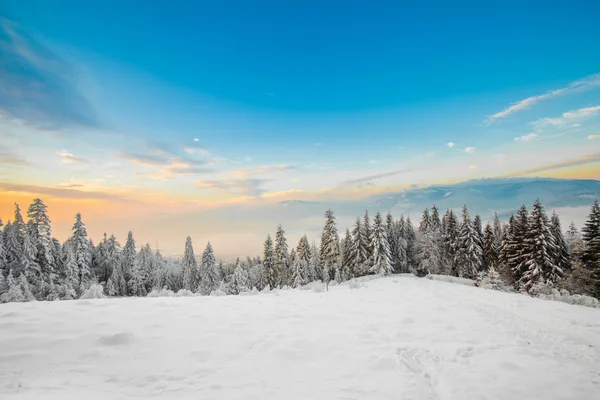 Beautiful winter sunrise photo taken in mountains — Stock Photo, Image