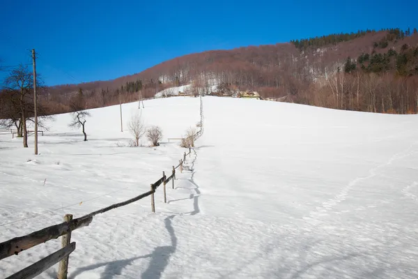 Belle photo d'hiver ensoleillée prise en montagne — Photo