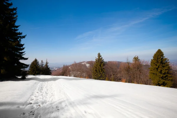 Belle photo d'hiver ensoleillée prise en montagne — Photo