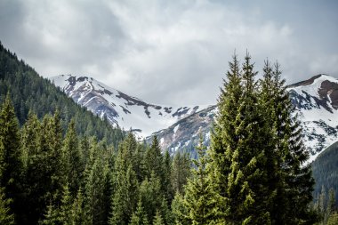 güzel tatry dağlara panorama