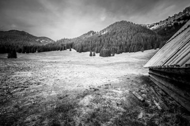 siyah beyaz manzara güzel tatry