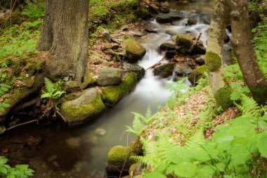 sudety dağlarında güzel art arda sıralı