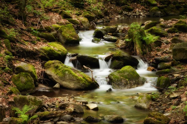 Sudety 산에서 아름 다운 폭포 — 스톡 사진