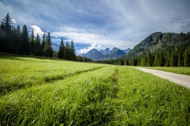 güzel tatry dağlara peyzaj