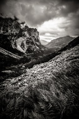 güzel tatry dağlara manzara siyah beyaz
