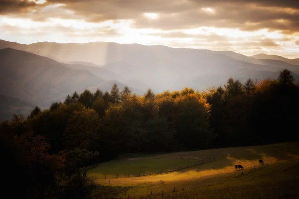 Beautiful autumn mountains landscape — Stock Photo, Image