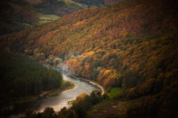 Beautiful autumn woods with river landscape — Stock Photo, Image