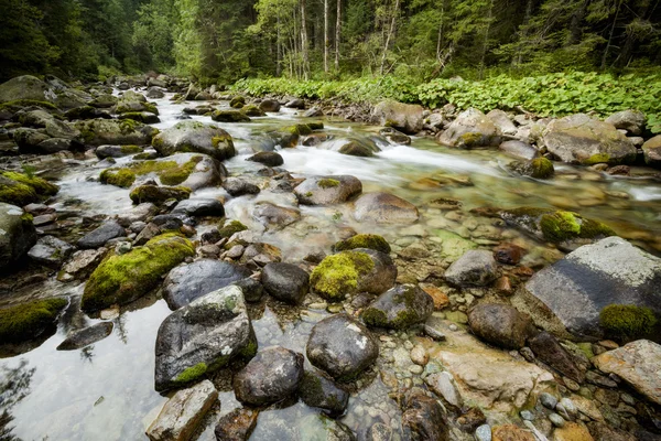 Beautiful Tatry mountains landscape — Stock Photo, Image