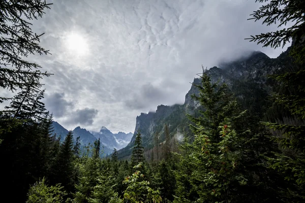 Hermoso paisaje de montañas Tatry — Foto de Stock