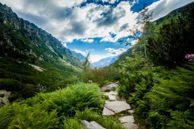 güzel tatry dağlara beş lakes valley manzara
