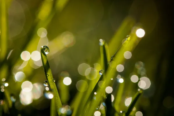 Primer plano de las gotas de agua — Foto de Stock